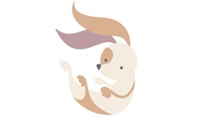 The Cute Project